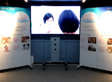 shiseido展示